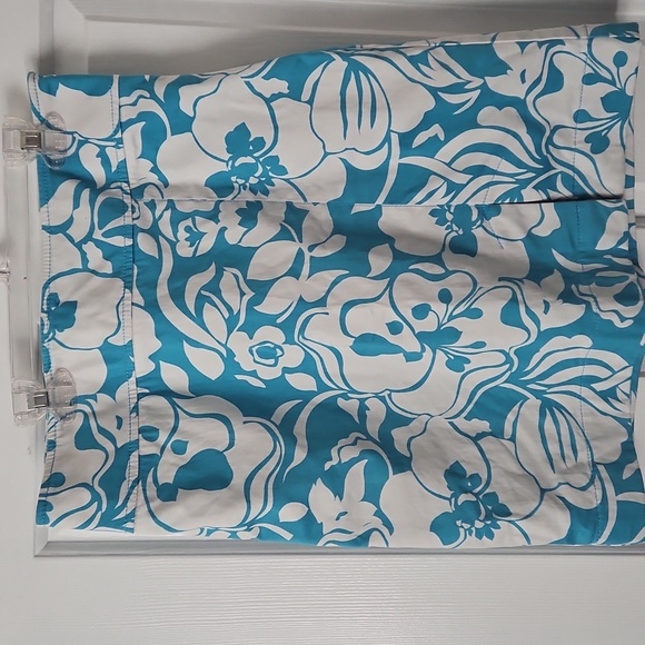 Ann Taylor Skirt. Size 4 - Picture 1 of 4